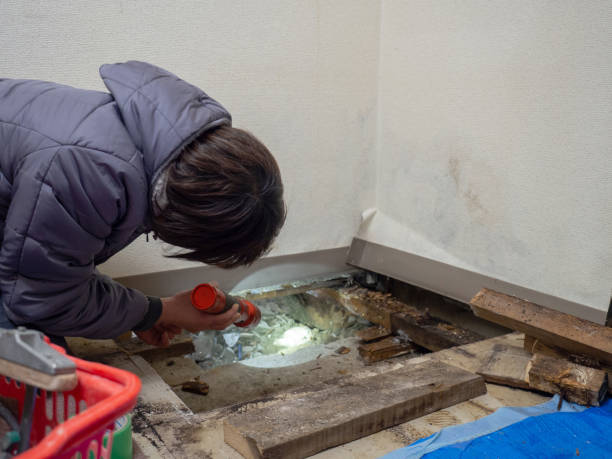 Best Crawl Space Mold Remediation  in Dunlap, IN