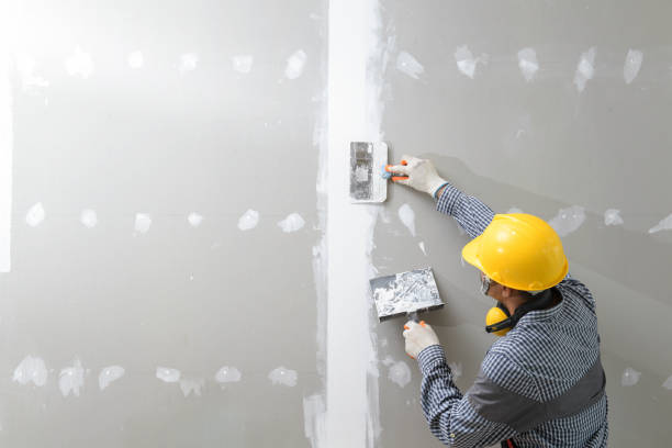 Best Black Mold Removal  in Dunlap, IN