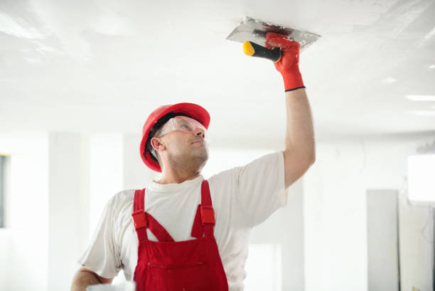 Best Mold Prevention Services  in Dunlap, IN