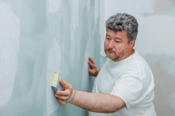 Best Asbestos and Lead Testing During Mold Inspection  in Dunlap, IN