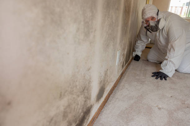 Best Indoor Air Quality Assessment  in Dunlap, IN