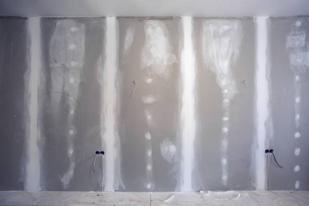 Best Emergency Mold Remediation  in Dunlap, IN